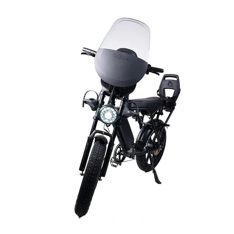 Kick&Move V8.3 – Familien-Fatbike – Schwarz (alles Zubehör inklusive)